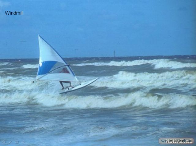windsurf83.jpg