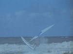 windsurf79.jpg