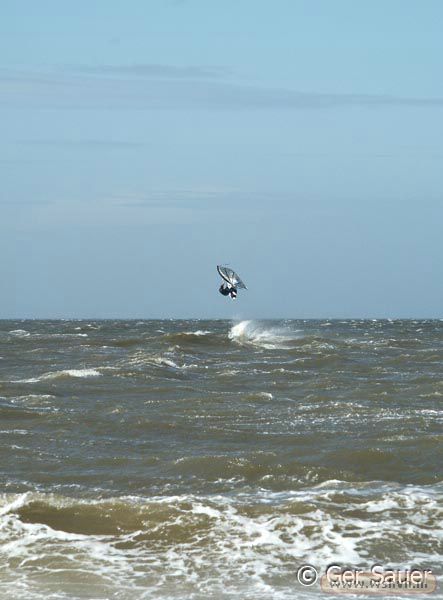 WINDSURF11.jpg