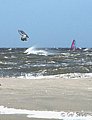 WINDSURF01.jpg